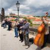 Czech Republic - Prague - Musician